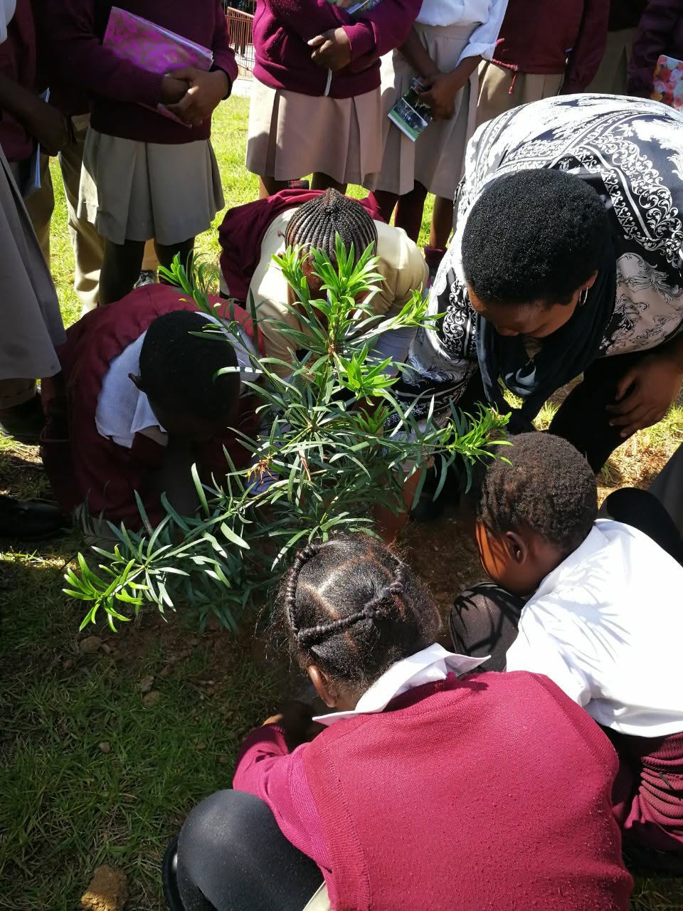 Peer Mentorship